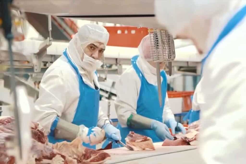 Anchetă finalizată: De ce s-a răspândit așa puternic coronavirusul, în abatorul Toennies