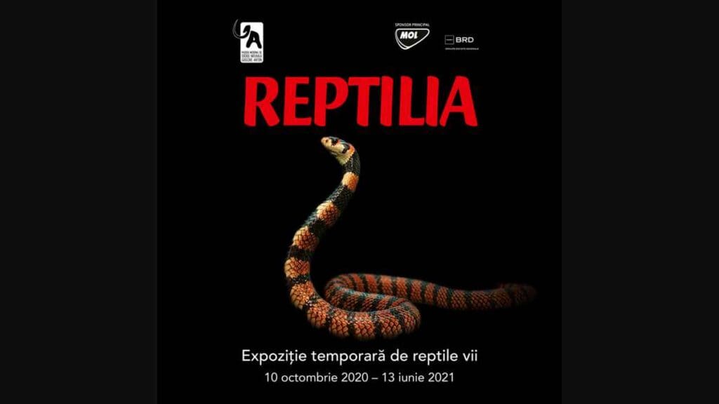 Muzeul Antipa: Expoziţie temporară de reptile vii