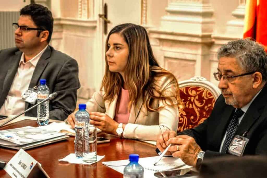 Ioana Petrescu, fost ministru de Finanţe în Guvernul Ponta, şi-a dat demisia din Pro România