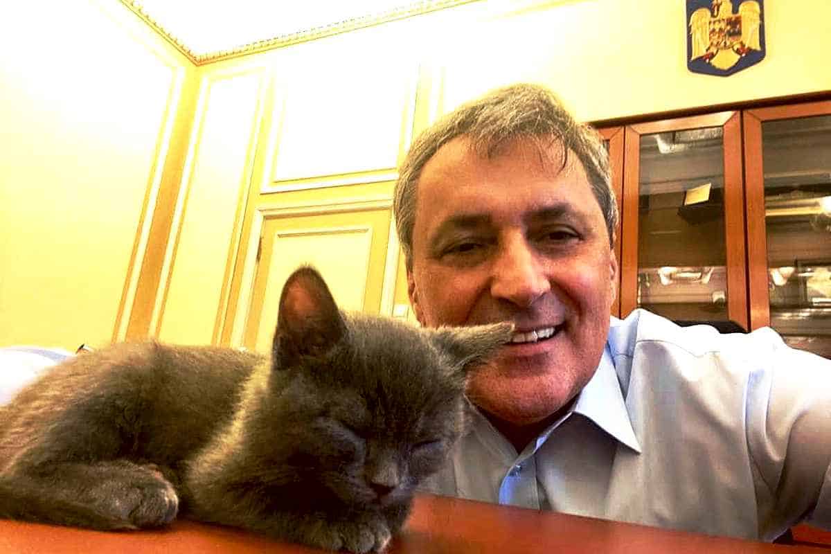 Marcel Vela anunță înființarea oficială a Poliției Animalelor