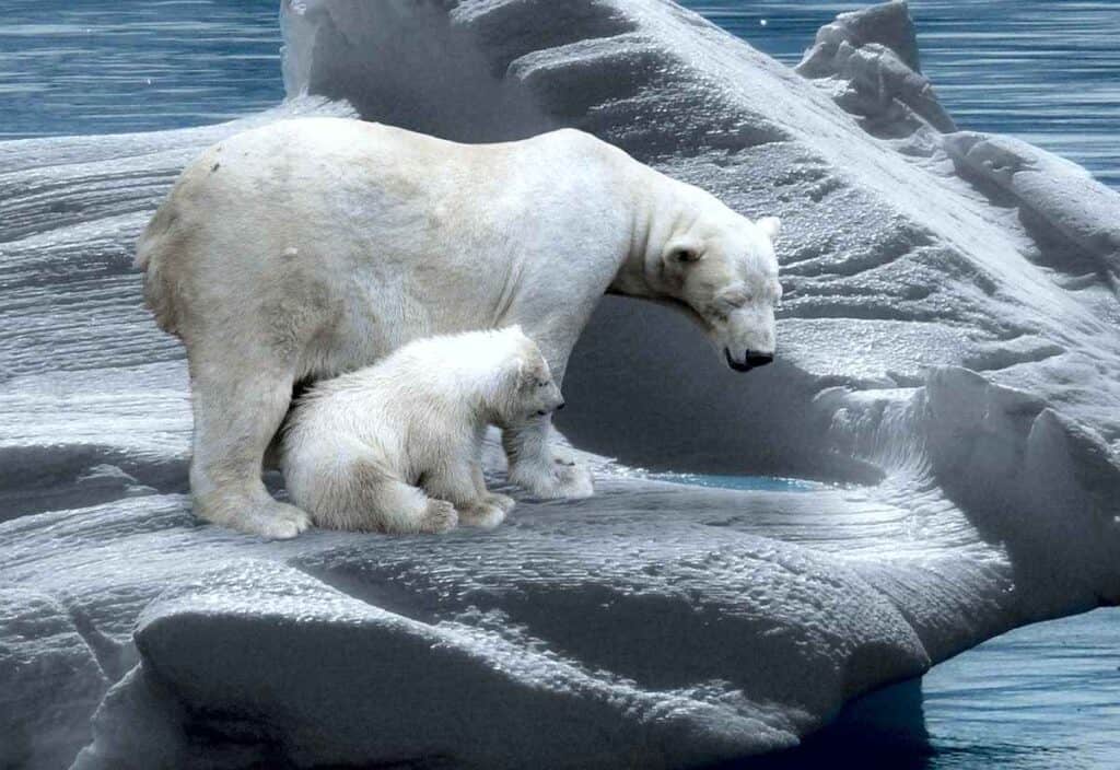 Topirea aisbergurilor este cheia secvenței unei Ere Glaciare
