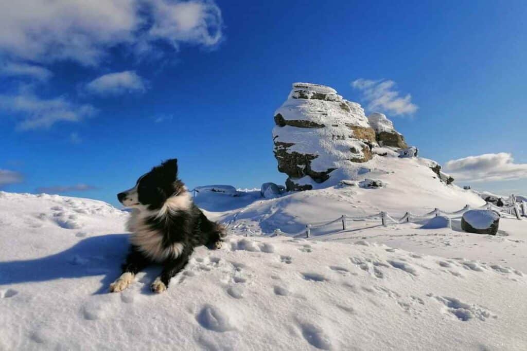 Salvamont Prahova: Risc mare de avalanşă în Munţii Bucegi, Baiului şi Ciucaş. foto: Salvamont Prahova