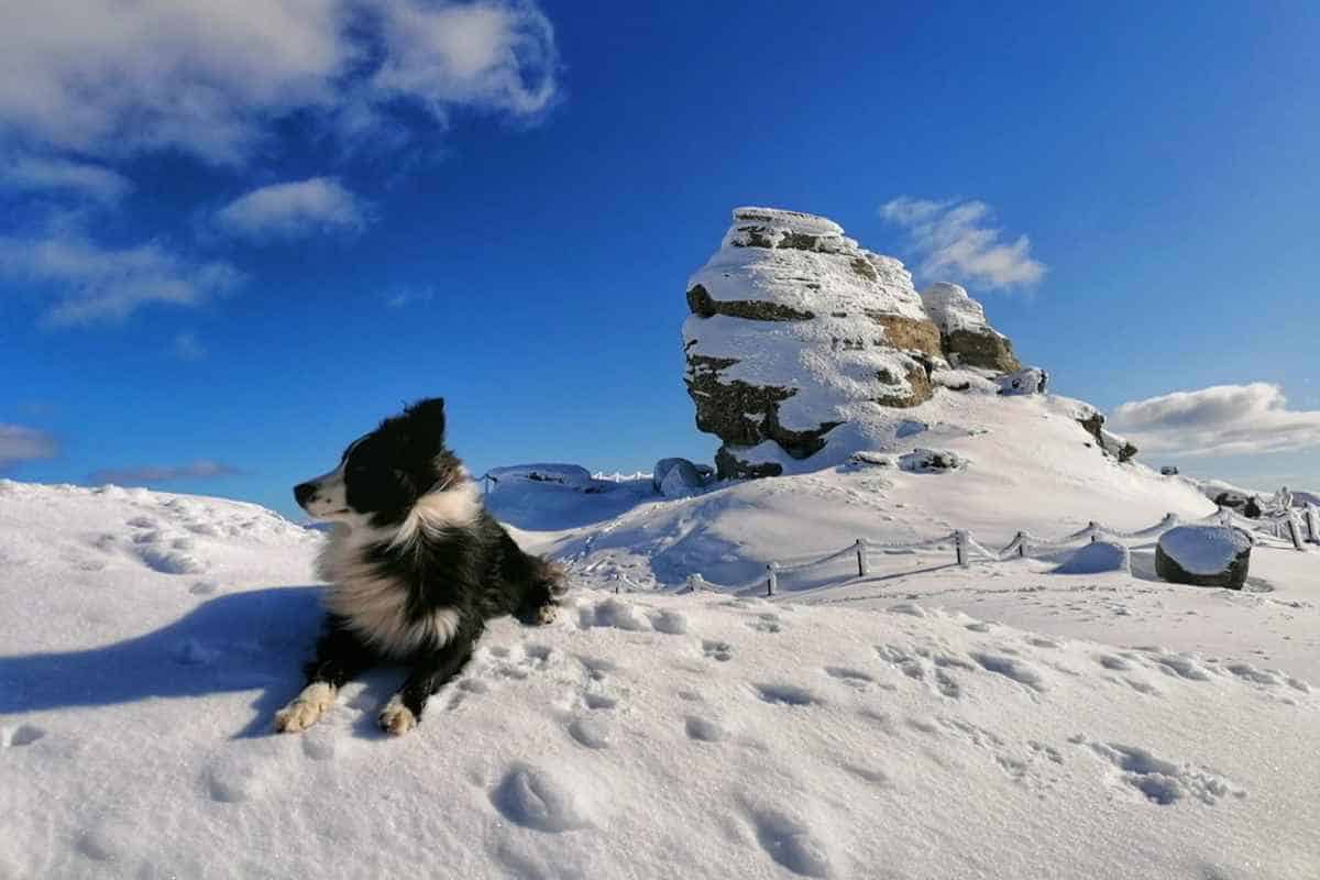 Salvamont Prahova: Risc mare de avalanşă în Munţii Bucegi, Baiului şi Ciucaş. foto: Salvamont Prahova