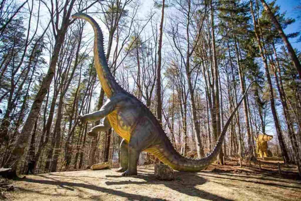Dino Parc Râşnov expune cel mai înalt dinozaur din sud-estul Europei: DIPLODOCUS