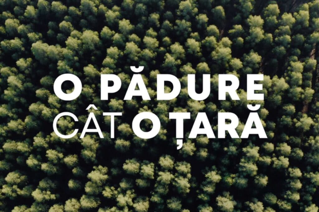 Premierul a cerut Corpului de Control o informare despre Campania "O pădure cât o țară"
