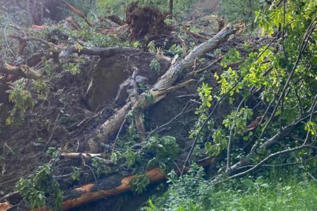 Alertă! Alunecare de teren în Buzău!