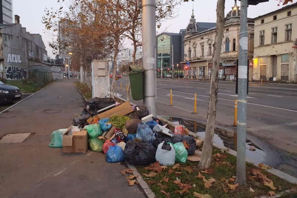 Garda de Mediu a aplicat amenzi de 440000 de lei, după controalele privind salubrizarea Bucureștiului