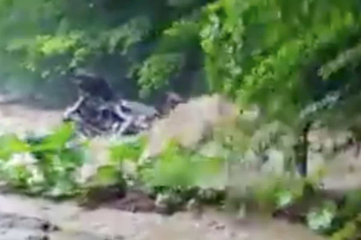 Bode anunţă deschiderea unui dosar de ucidere din culpă, în cazul pilotului decedat în timpul concursului off road