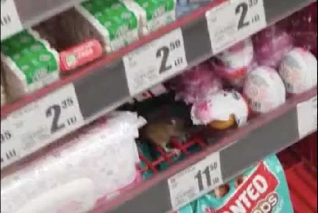 Șoarece filmat pe raftul supermarketului Auchan, din Iulius Mall Cluj