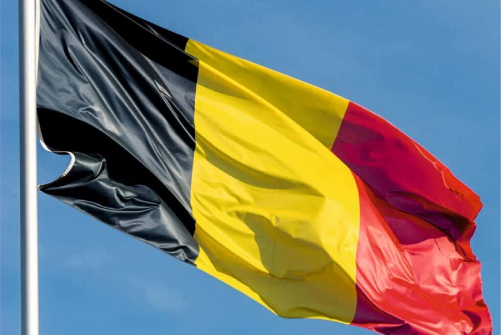 Zi de doliu, pe 20 iulie, în Belgia. Manifestările de Ziua Națională, pe 21 iulie, vor fi scurtate