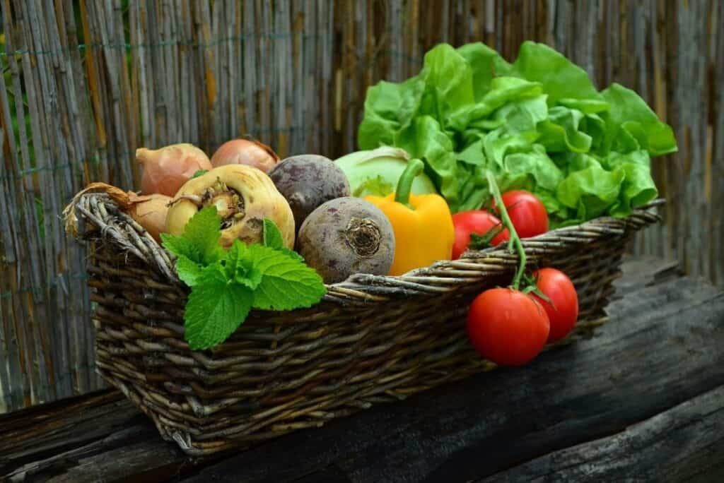O femeie din Botoșani a sunat la 112 să se plângă că fiul ei este... vegetarian