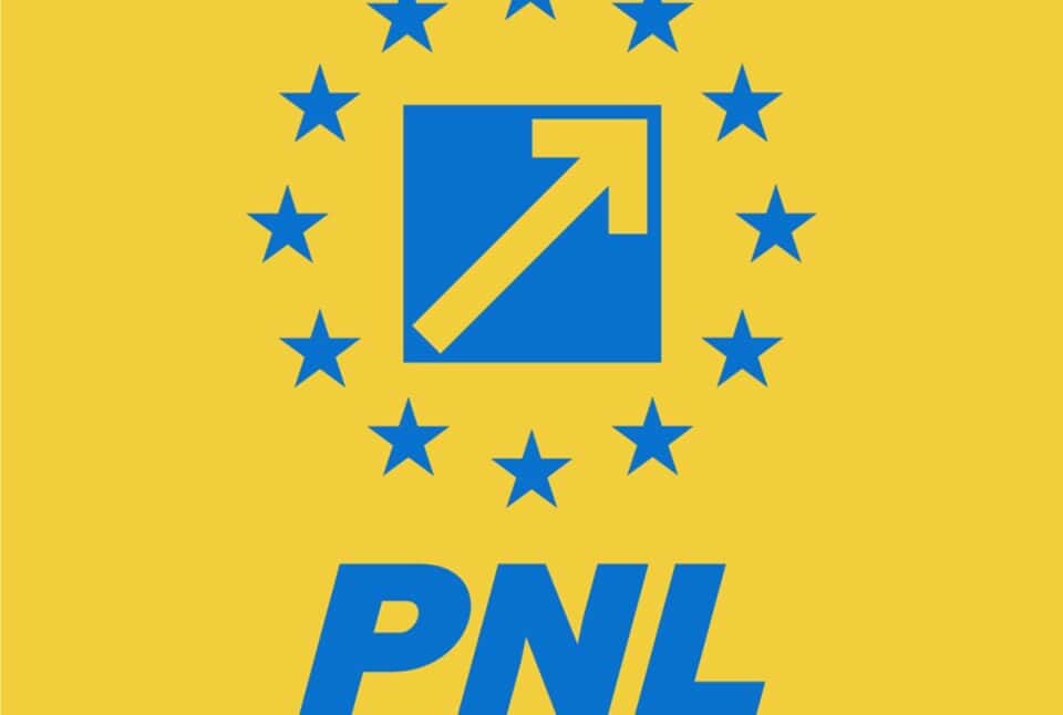 BPN al PNL a votat, în unanimitate, susținerea lui Cîțu ca premier