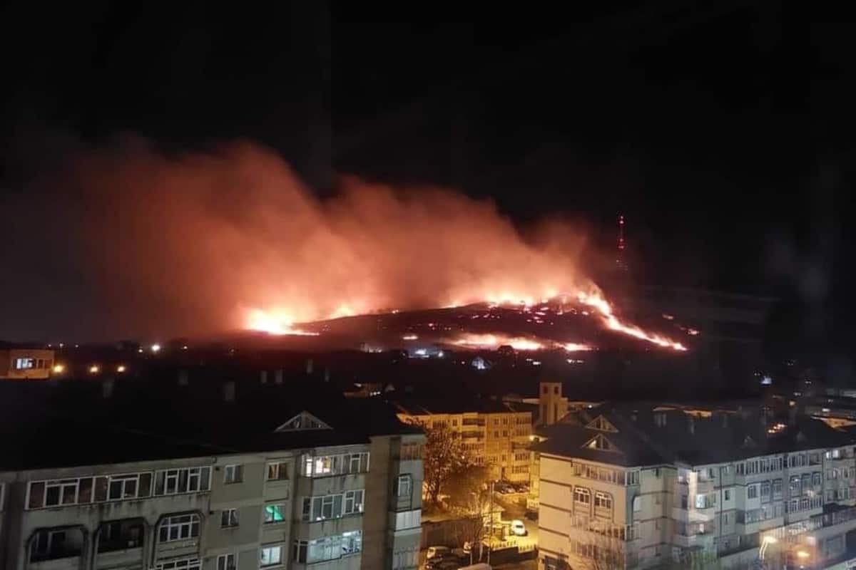 Incendiu de vegetație URIAȘ pe Muntele Pietricica, Piatra Neamț - VIDEO