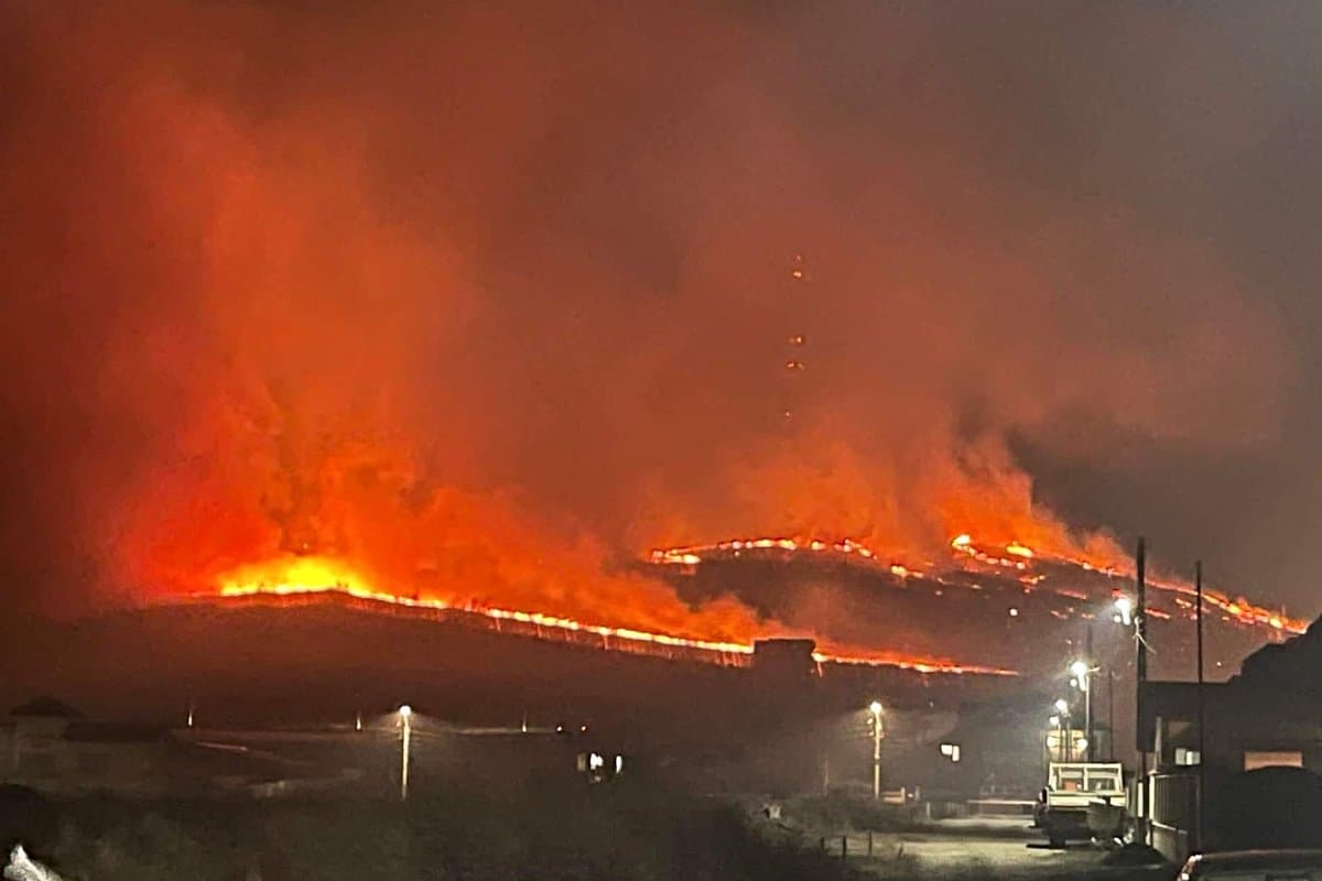 Incendiul de pe Pietricica a fost stins, cu ajutorul a peste 200 de oameni din 3 județe