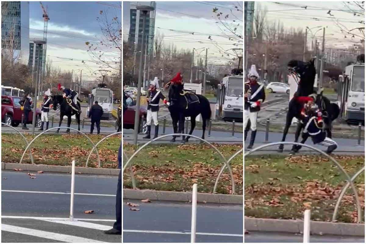 Jandarm, filmat când cade de pe cal. Jandarmeria, pregătită să dea sancțiuni, în cadrul Consiliului de onoare
