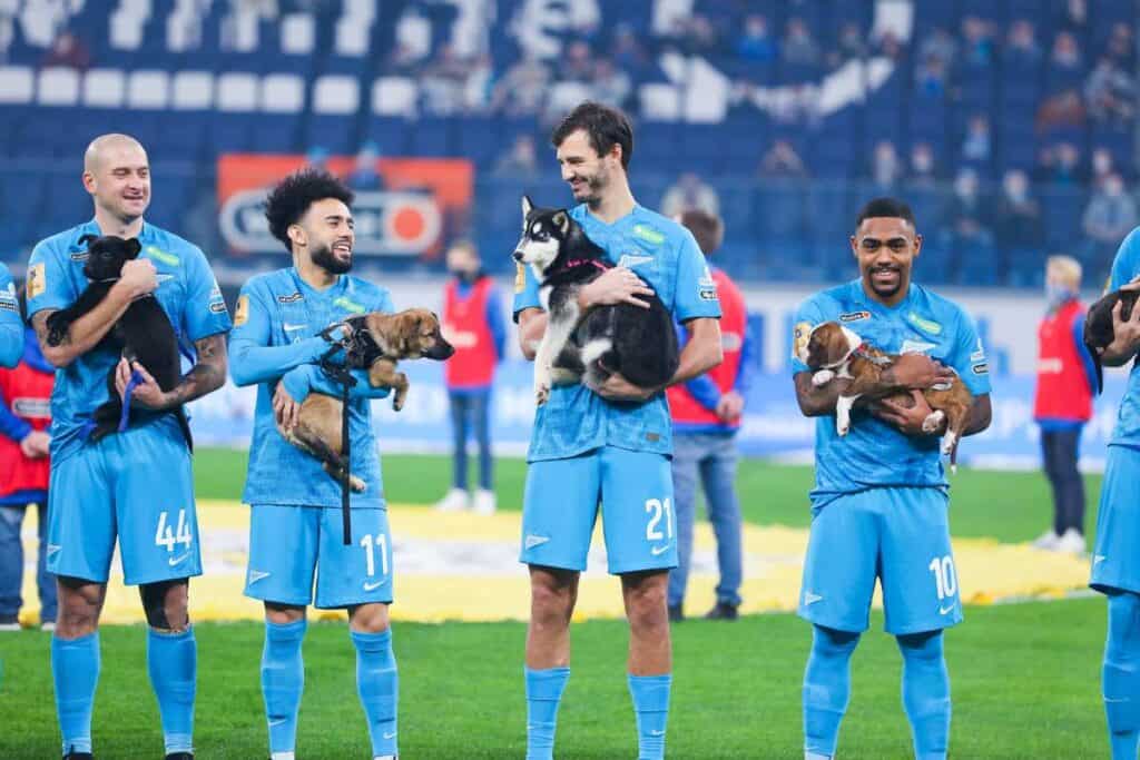 Căței pentru adopție: Jucătorii de la Zenit au intrat pe teren ţinând în braţe câini disponibili. foto: Facebook, FC Zenit