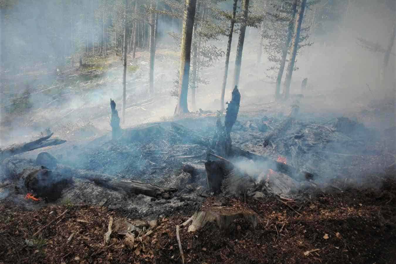 Romsilva atrage atenția asupra riscului extinderii incendiilor provocate de arderea miriștilor. Sursa foto: Romsilva