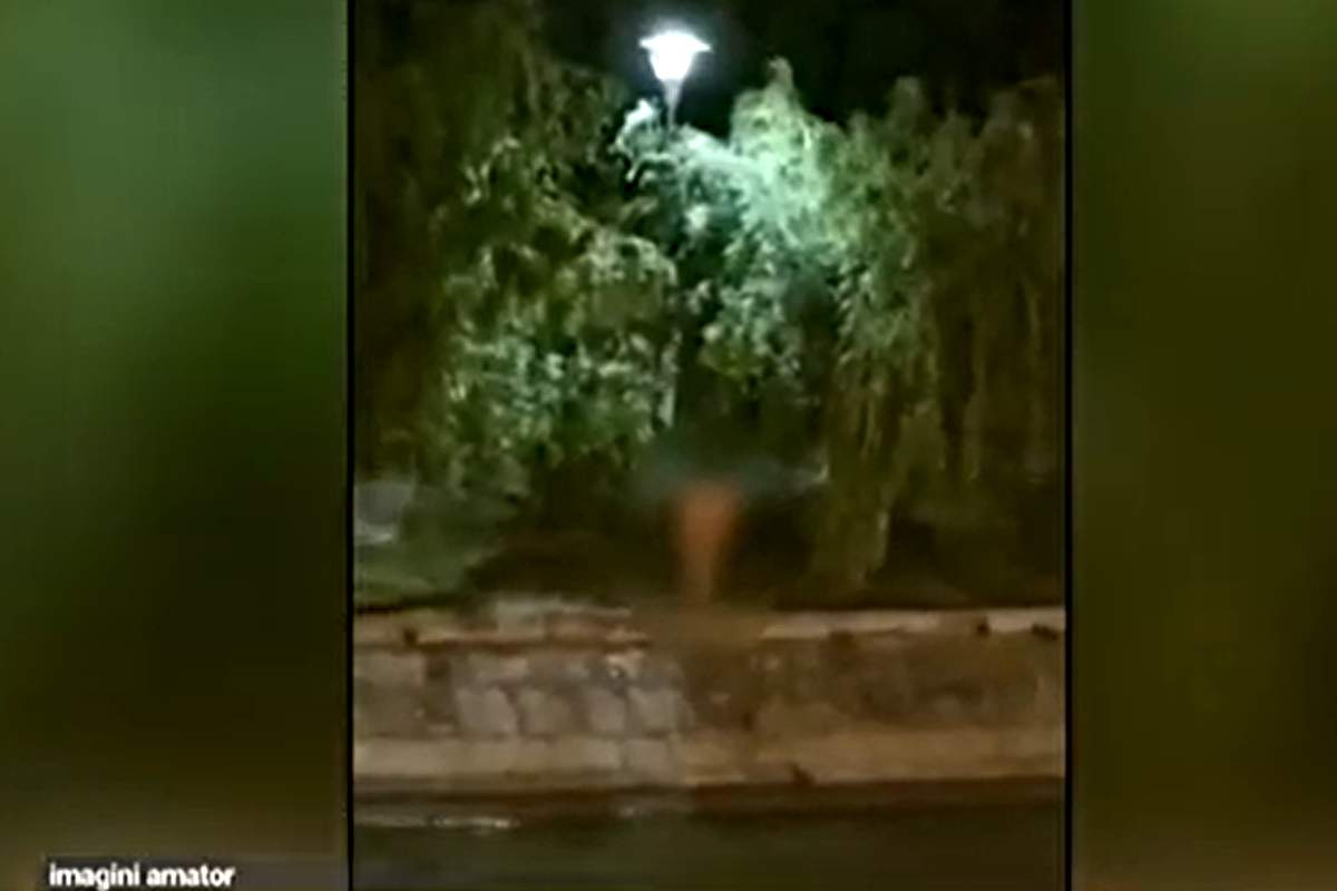 Tinere dezbrăcate ce fac baie în Bega, lângă o terasă, în zona centrală a Timișoarei. Sursa foto: captura TVR