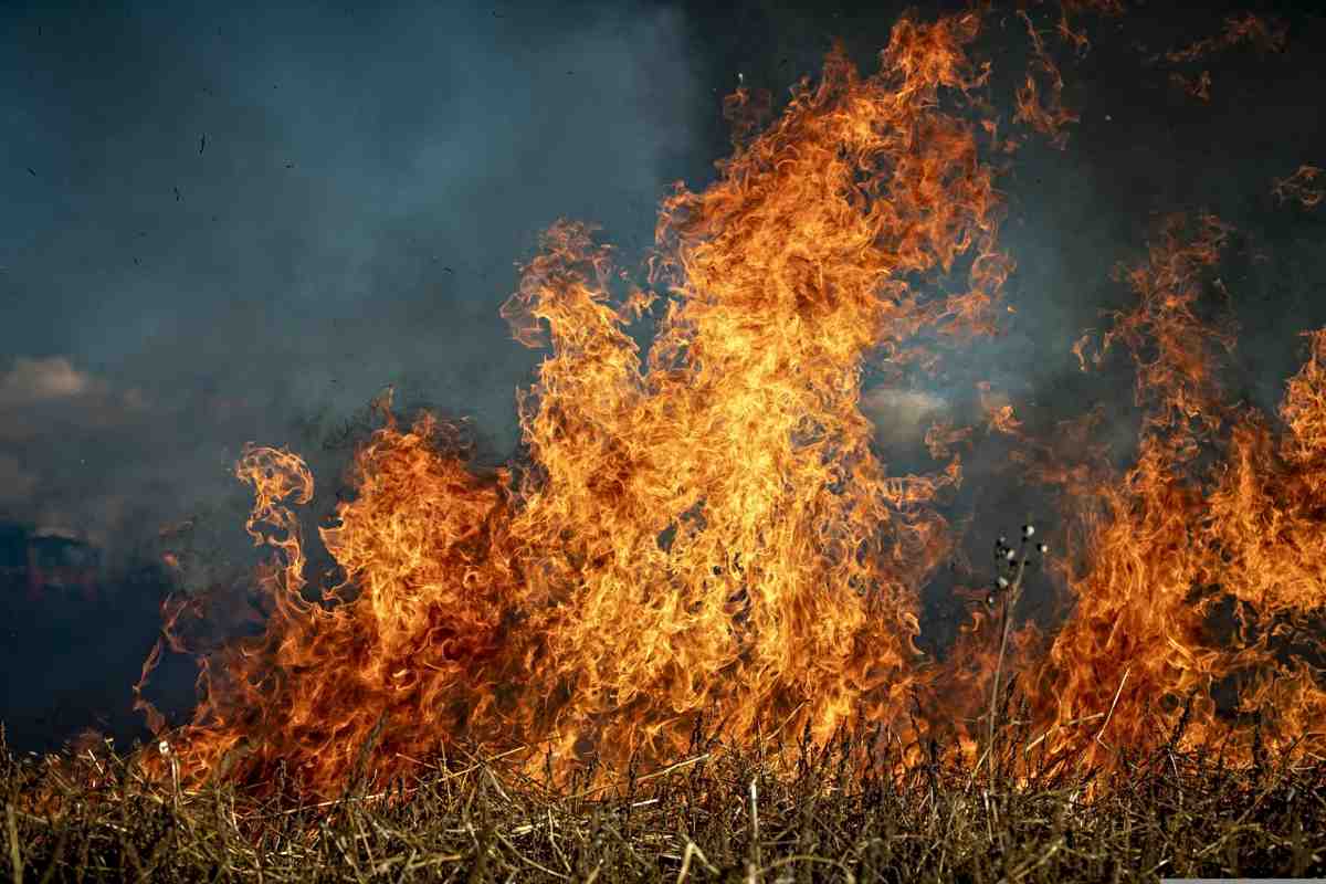 Vară de foc în Europa: Franţa, Spania, Croaţia şi Grecia, sub amenințarea crescândă a incendiilor pe suprafețe mari