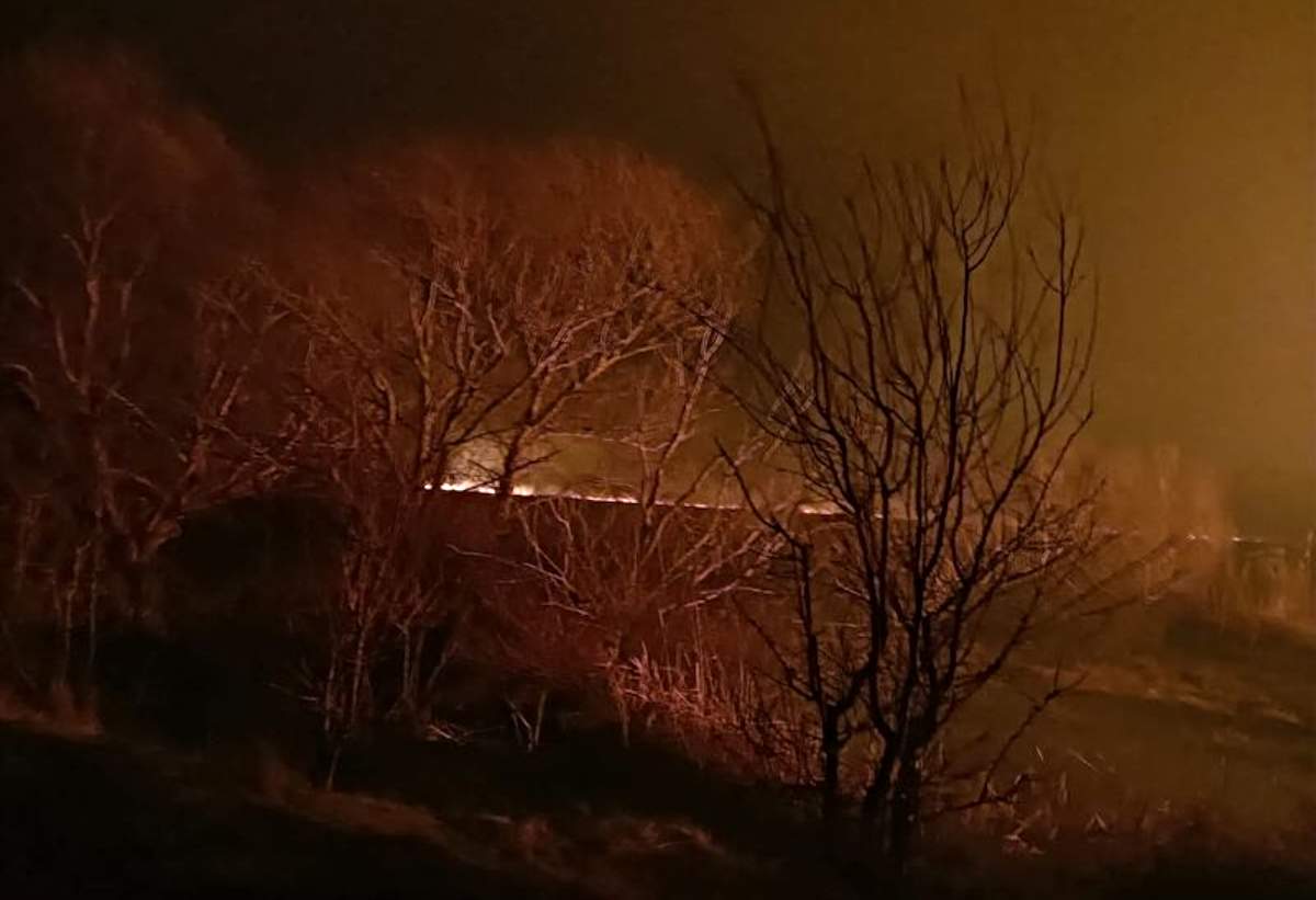 Incendiu Delta Dunarii