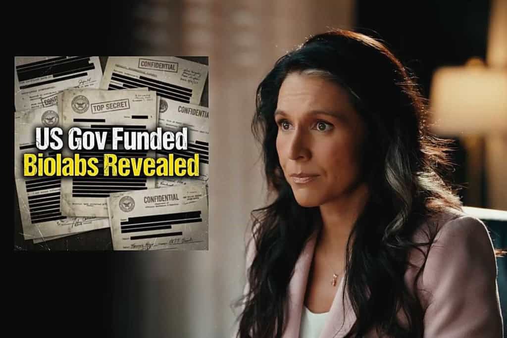 Directoarea Serviciului Naţional de Informaţii al SUA (DNI), Tulsi Gabbard