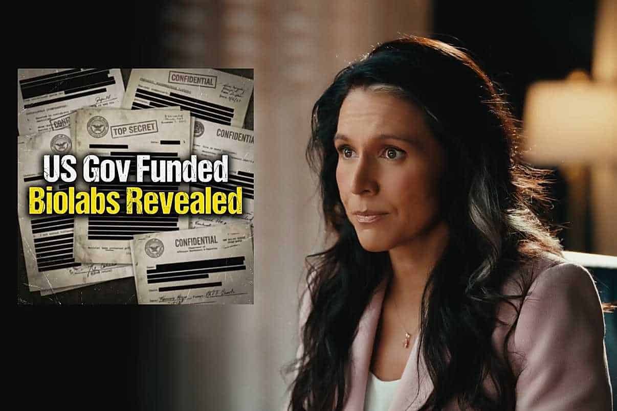 Directoarea Serviciului Naţional de Informaţii al SUA (DNI), Tulsi Gabbard